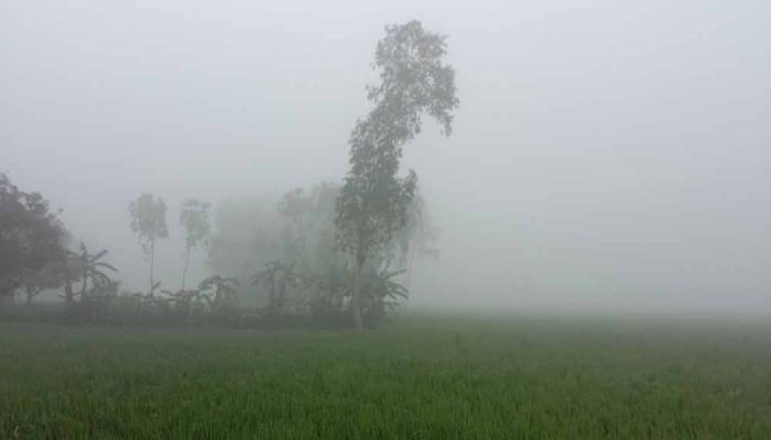পঞ্চগড়ে তাপমাত্রা নামল ৭ ডিগ্রিতে